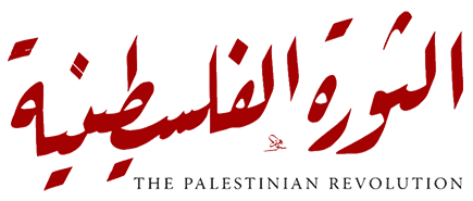 palestine_websitephoto.png