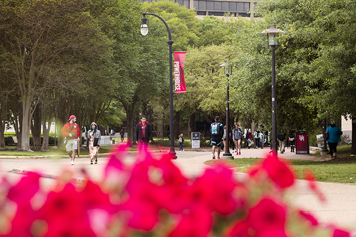 students walking on campus