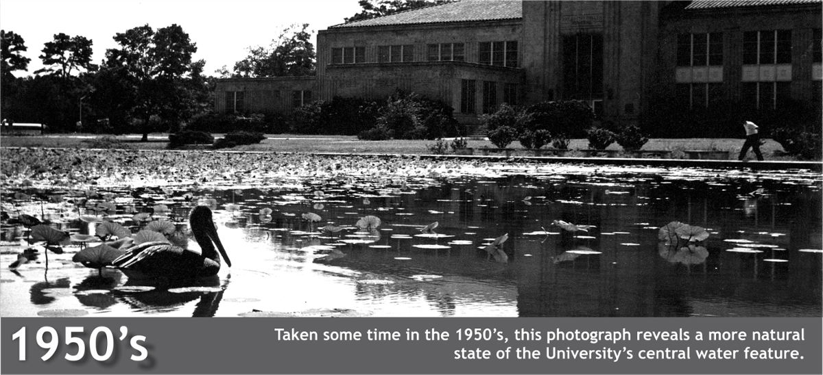 Reflection Pond