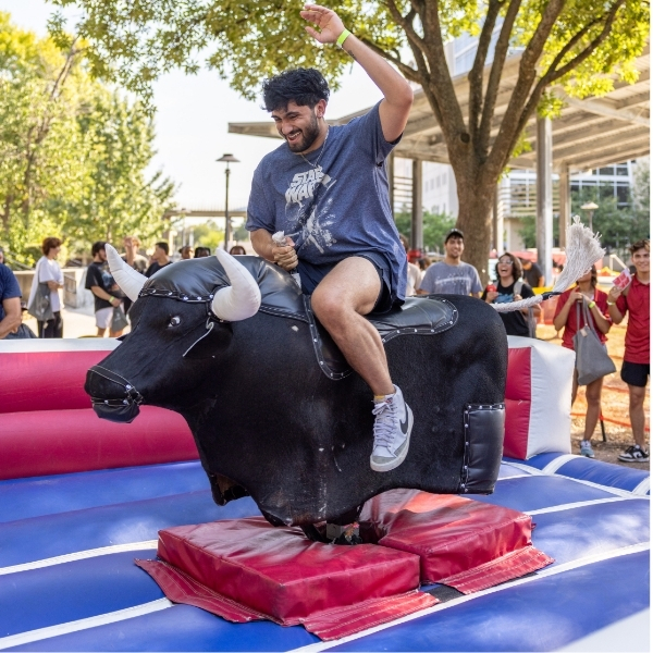 Mechanical bull