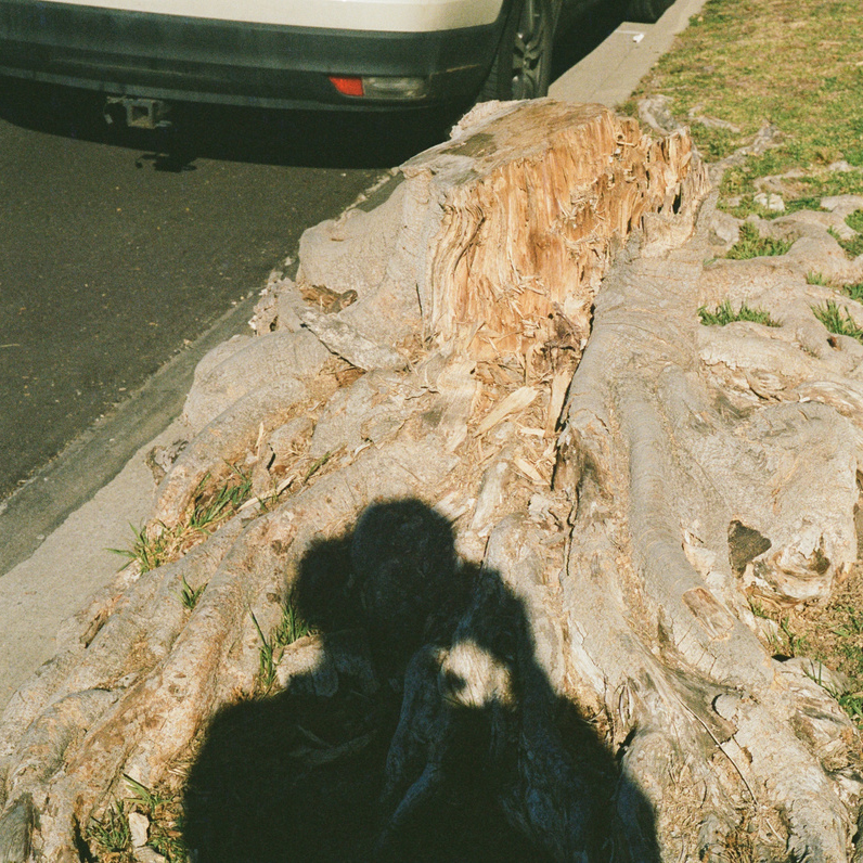 The shadow of an unidentified person, presumed to be Christopher Ayala, is cast on a street. There is a white car partially visible in the corner of the frame. It appears the figure is holding something, perhaps a camera. 