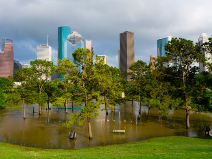 Houston Skyline