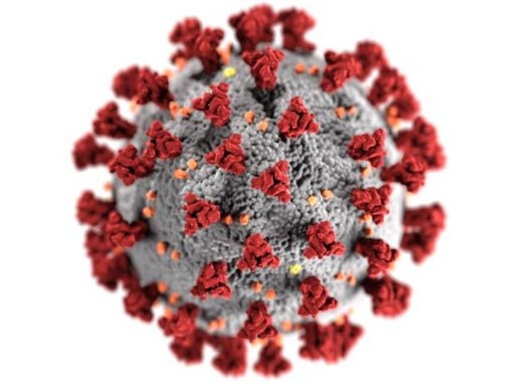 COVID virus