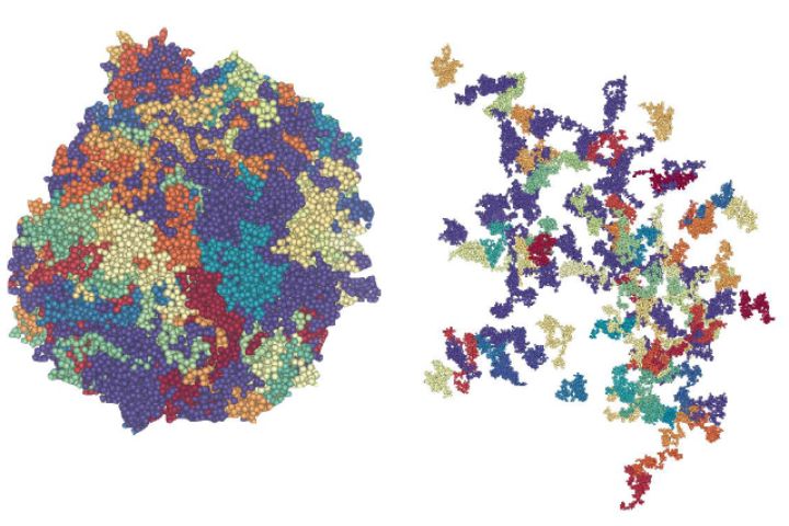 welch-rimer-models-of-polymorphs-newsroom.jpg