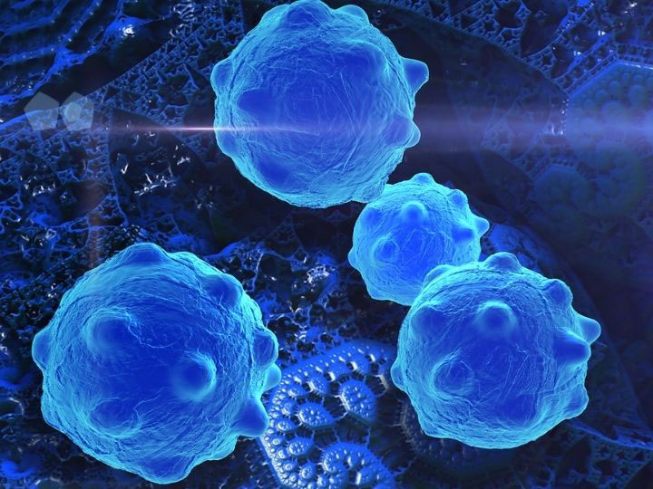 Cancer Cells
