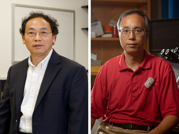 Zhifeng Ren & Jiming Bao
