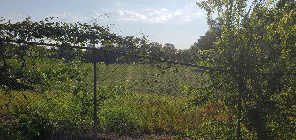 Fence Deformation