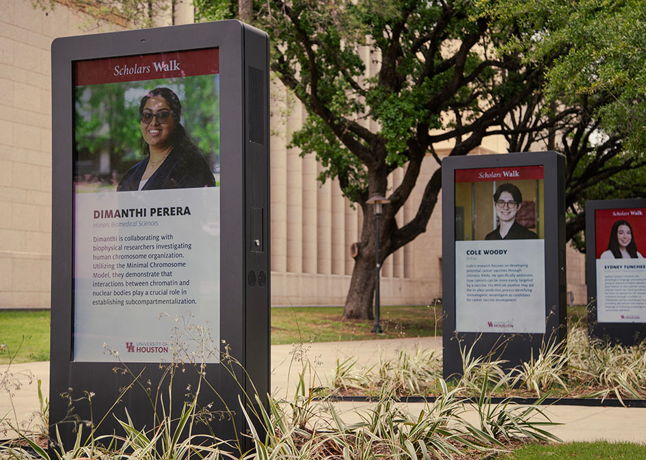 Scholars Walk