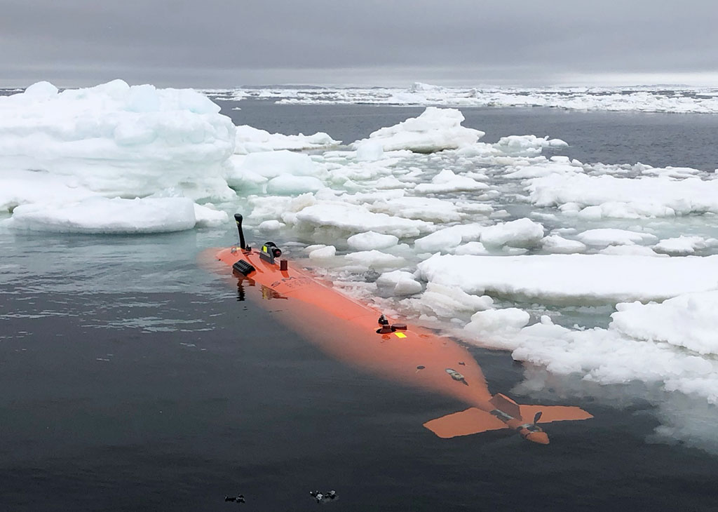 Autonomous Underwater Vehicle Ran