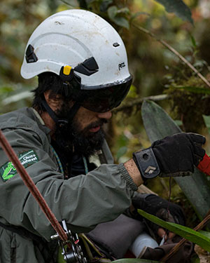 Francisco Velasquez Espin