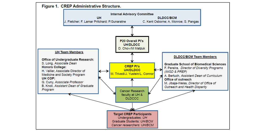 c-rep admin structure