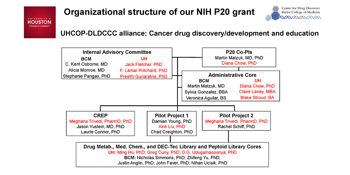 org structure