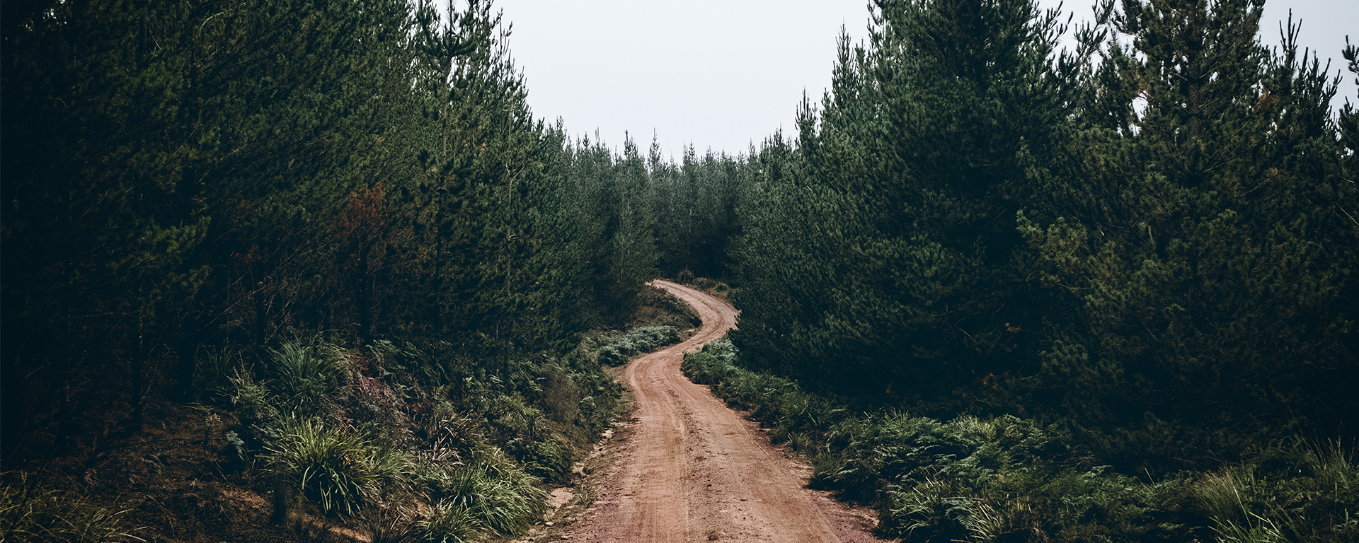 hiking trail